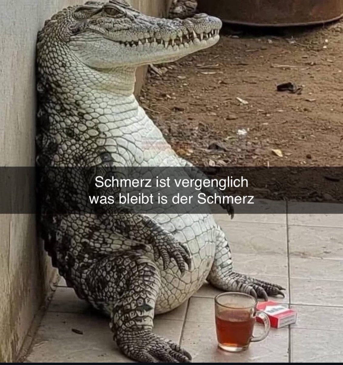 Thema #Zieler #hannover96