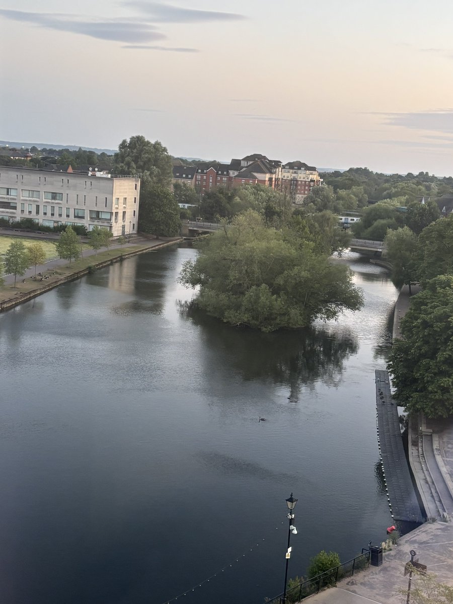 🐅Kathy Freeston 🐅 tweet media