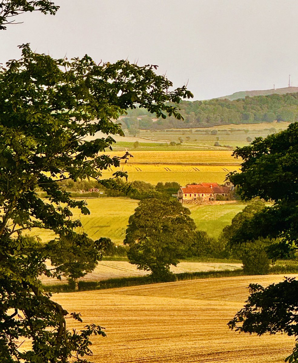 James Melville π (@jamesmelville) on Twitter photo Once the farmland is gone, itβs gone forever. It never returns. We lose our countryside at our peril. No farmers, no food.
<a href="/NoFarmsNoFoods/">No Farmers, No Food</a> Once the farmland is gone, itβs gone forever. It never returns. We lose our countryside at our peril. No farmers, no food.
<a href="/NoFarmsNoFoods/">No Farmers, No Food</a>