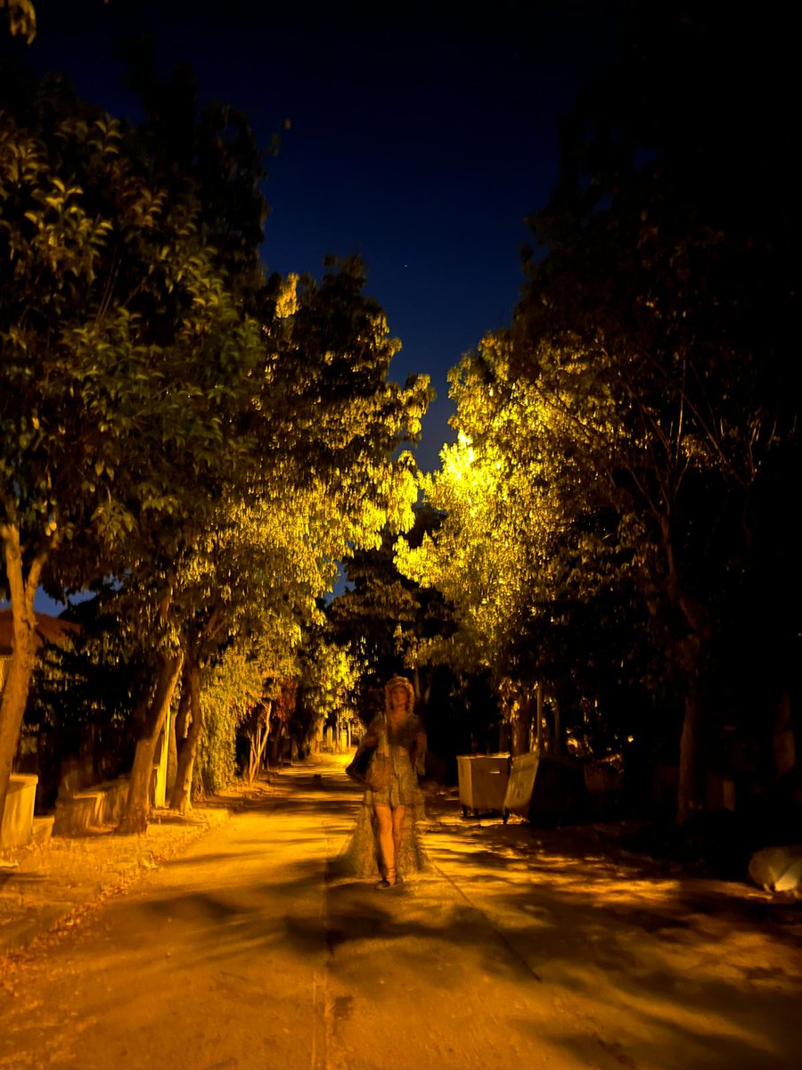 "Bir bardak şarabı kendim için içiyorum
Halbuki geyikli gece ormanda
Keskin mavi ve hışırtılı
Geyikli geceye geçiyorum 

Uzanıp kendi yanaklarımdan öpüyorum."

#TurgutUyar
#GeyiikliGece
