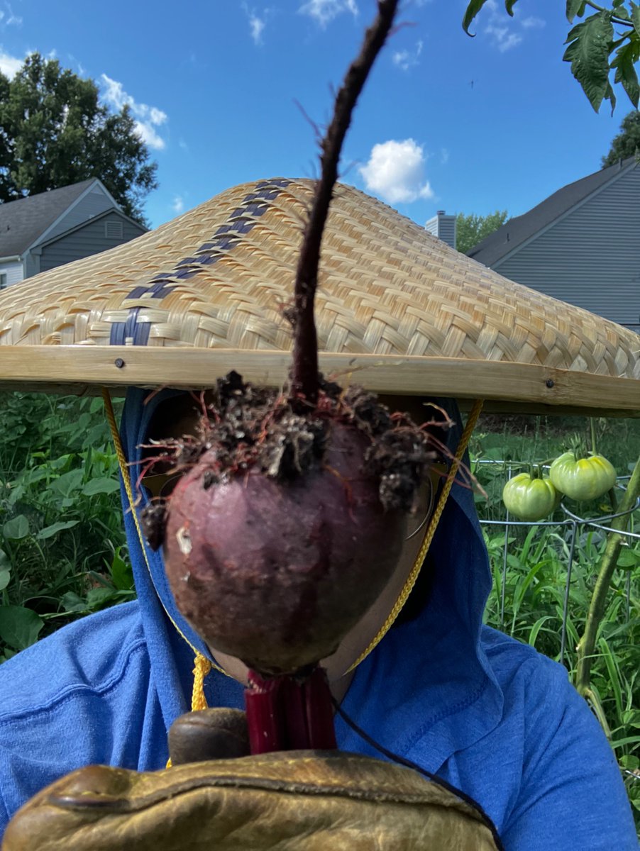 Imagine not liking me &amp; I’m just gardening in a rice hat when I’m not trading 👩‍🌾