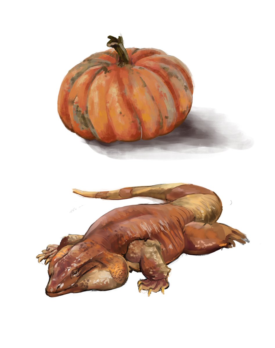 braaiboet's tweet image. Some random studies! 
Been really enjoying joining @KaseySnowArt for themed morning warmup sketches on Twitch! Great way to start the day, recommend her streams, it&apos;s a wonderful environment! 
#studies #TheArtGym