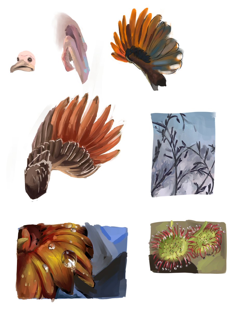 braaiboet's tweet image. Some random studies! 
Been really enjoying joining @KaseySnowArt for themed morning warmup sketches on Twitch! Great way to start the day, recommend her streams, it&apos;s a wonderful environment! 
#studies #TheArtGym