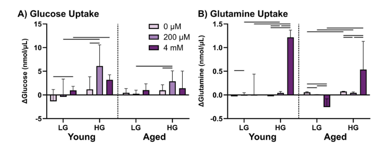 nesa_milan's tweet photo. New in @JOrthopRes 
Mlawer et al. show that glucose &amp; glutamine metabolism coordinate ECM remodeling in young tendon, but this link is lost with aging.
A metabolic mechanism behind tendinopathy? #ORSSML #ORSAmbassador @ORSsociety 
🔗https://t.co/KjsC9LHHoK https://t.co/xAPEyDwhQS