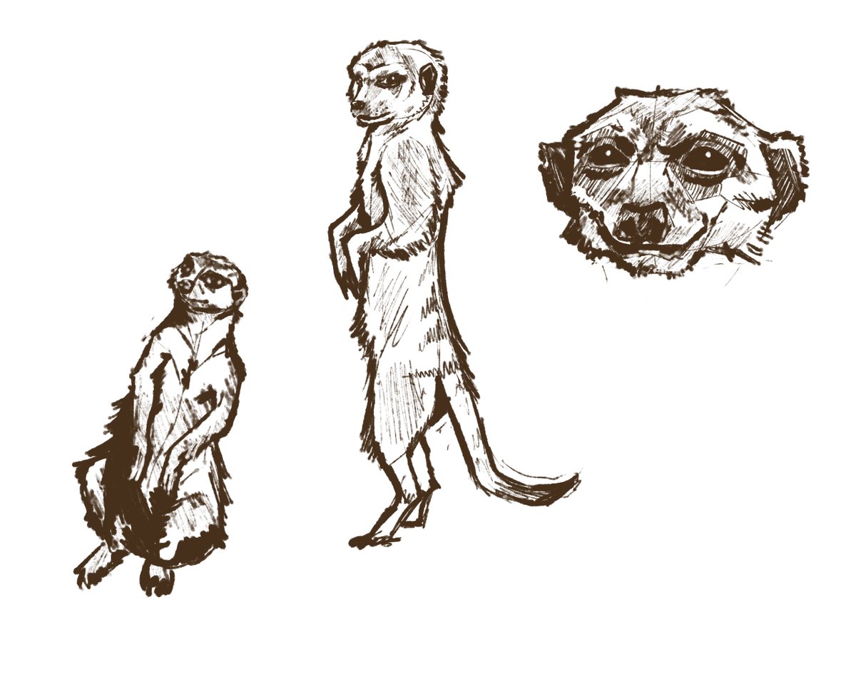 braaiboet's tweet image. Some random studies! 
Been really enjoying joining @KaseySnowArt for themed morning warmup sketches on Twitch! Great way to start the day, recommend her streams, it&apos;s a wonderful environment! 
#studies #TheArtGym