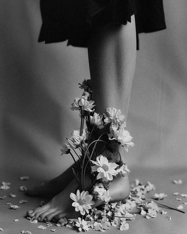 LadyLeo1976's tweet image. Stars remind us of a constant light in the dark ⭐️
When it’s too hard to look up to see the stars, I hope that you notice the beauty right where you are. 
I hope that you notice the flowers at your feet 🌺

#Depression
#Healing 
#Recovery