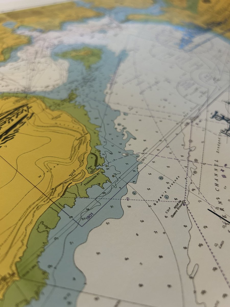indigozuluink's tweet image. Hardly picked up my pen in June! Such a busy month 🤯 Back at it and working on a lovely career chart for someone to gift to a relation. Badges and writing still to be added!
#chartart #inkdrawing #royalnavy #britisharmedforces #militaryartist