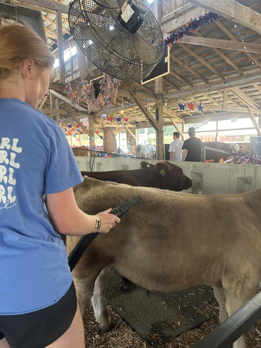 Indiana4h's tweet image. It's so much fun to see 4-H fair photos from across the state! 🍀 As an alum or a current 4-H’er, tell us your 4-H fair story at 4-H.org/events/share-a…. 📷: Purdue Extension Kosciusko County 4-H
