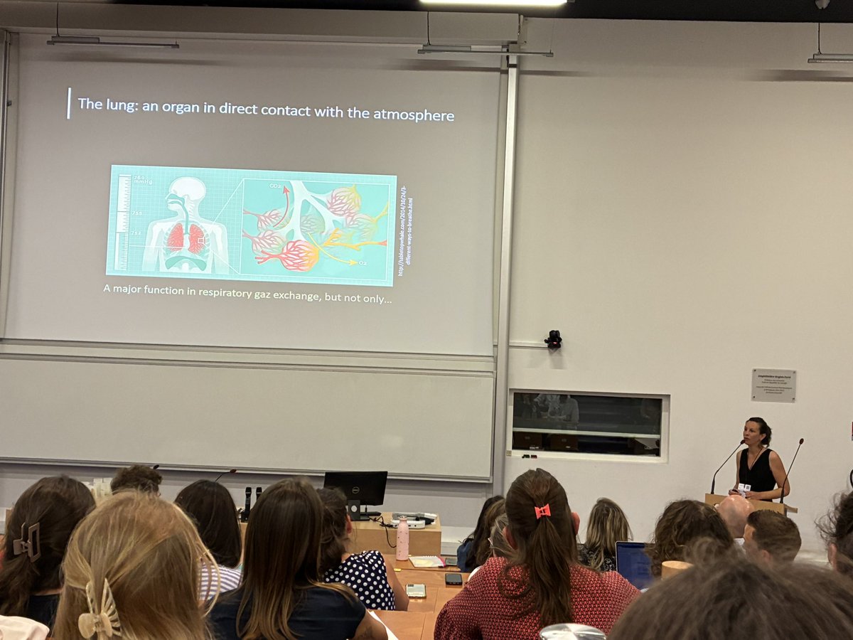 GDR Organoïdes tweet media