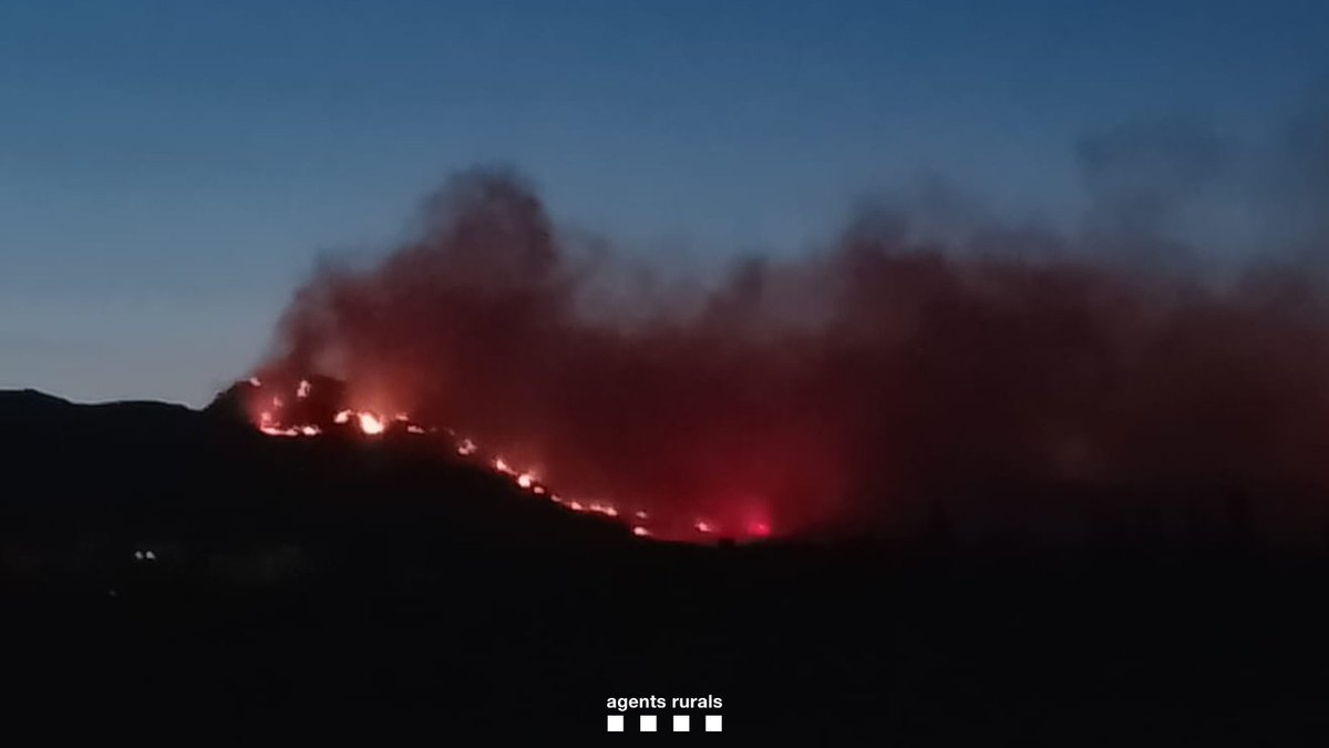 Agents Rurals (@agentsruralscat) on Twitter photo 🔴 ACTUALITZACIÓ (07/07 21:00H): L'#IFPaüls (Baix Ebre) afecta una superfície d'unes 570 hectàrees de terreny majoritàriament forestal, segons dades provisionals d’#AgentsRurals.
El 90% d'afectació és dins el #PNPorts <a href="/parcscat/">Parcs de Catalunya</a>. 🔴 ACTUALITZACIÓ (07/07 21:00H): L'#IFPaüls (Baix Ebre) afecta una superfície d'unes 570 hectàrees de terreny majoritàriament forestal, segons dades provisionals d’#AgentsRurals.
El 90% d'afectació és dins el #PNPorts <a href="/parcscat/">Parcs de Catalunya</a>.