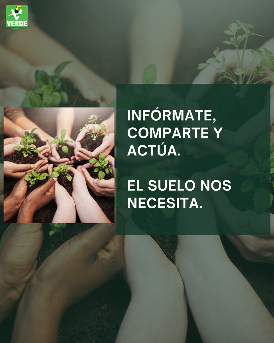 ¿Sabías que el 59% de la CDMX es Suelo de Conservación?

Ahí nace el agua que bebemos y habita gran parte de nuestra vida silvestre.

Actuemos hoy para protegerlo.