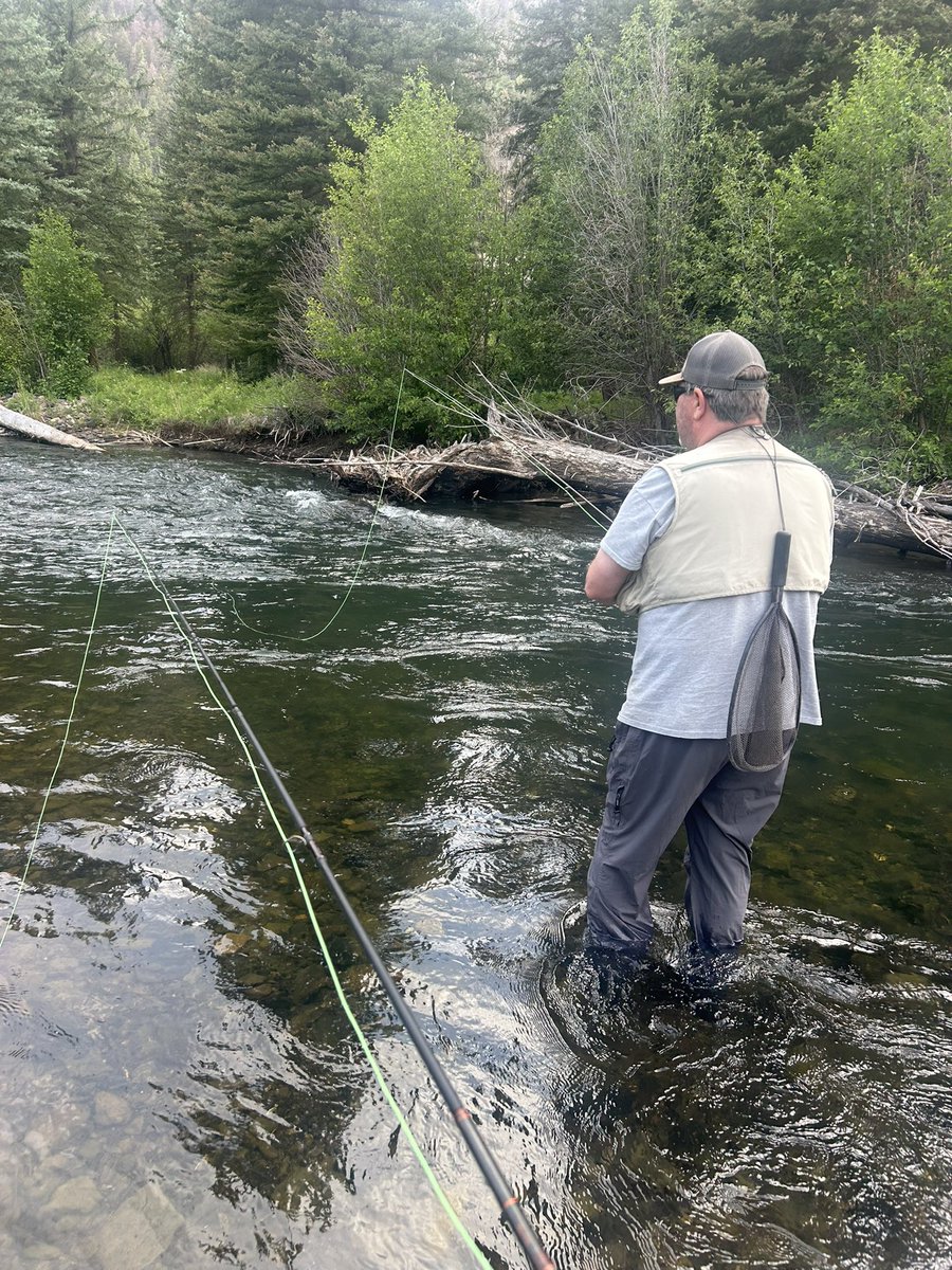 Pops is putting on an absolute clinic