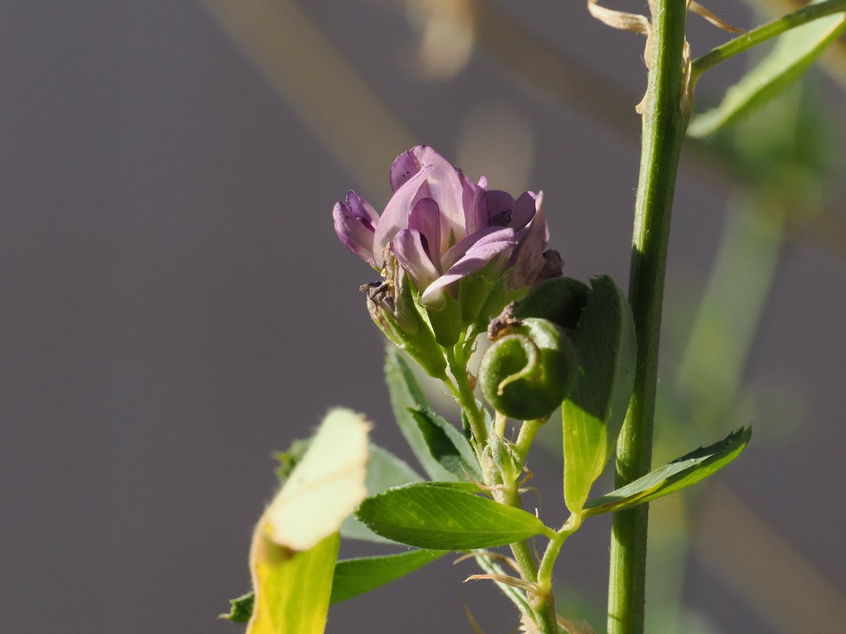 Javier Martín tweet media