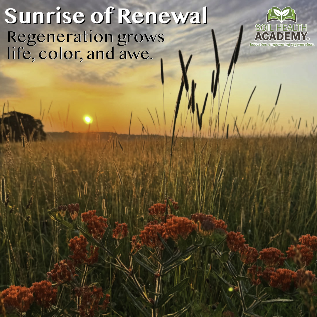 “Regenerative farming brings many rewards, but one of the greatest is watching nature’s beauty awaken all around me,” says August Horstmann, a Soil Health Academy graduate.

Every bloom is a testament to what’s possible when we work with nature—not against it.