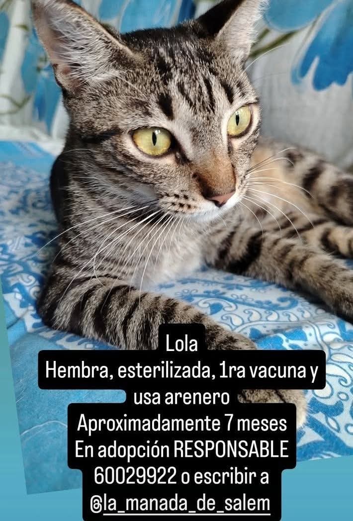 RT POR FAVOR! BUSQUEMOSLE
CASITA! GRACIAS!