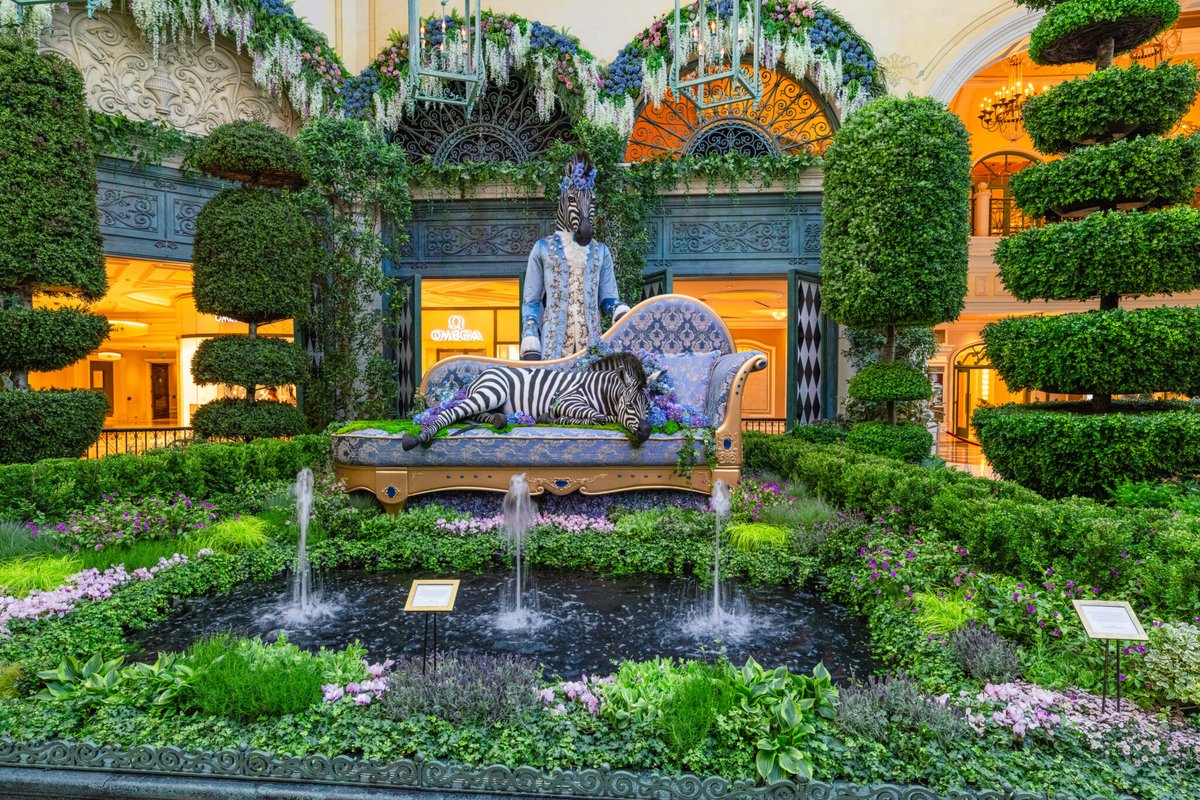 Global Traveler (@gtmag) on Twitter photo Dine Amidst Massive Garden Chess Pieces and More at Bellagio Las Vegas’ New Garden Exhibit
<a href="/Bellagio/">Bellagio Las Vegas</a>
© MGM Resorts International
globaltravelerusa.com/dine-amidst-ma… Dine Amidst Massive Garden Chess Pieces and More at Bellagio Las Vegas’ New Garden Exhibit
<a href="/Bellagio/">Bellagio Las Vegas</a>
© MGM Resorts International
globaltravelerusa.com/dine-amidst-ma…