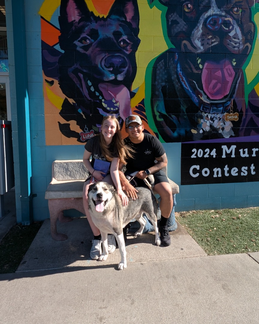 🐾💚 Last Week's Adoption Numbers 💚🐾

During the past week, 135 dogs and cats found loving homes—including Hobart!!! 🎉🐶🐱🐰 

Congrats to all the pets and their new families!

Check out all our adoptable pets on our website: thehumanesociety.org/adopt