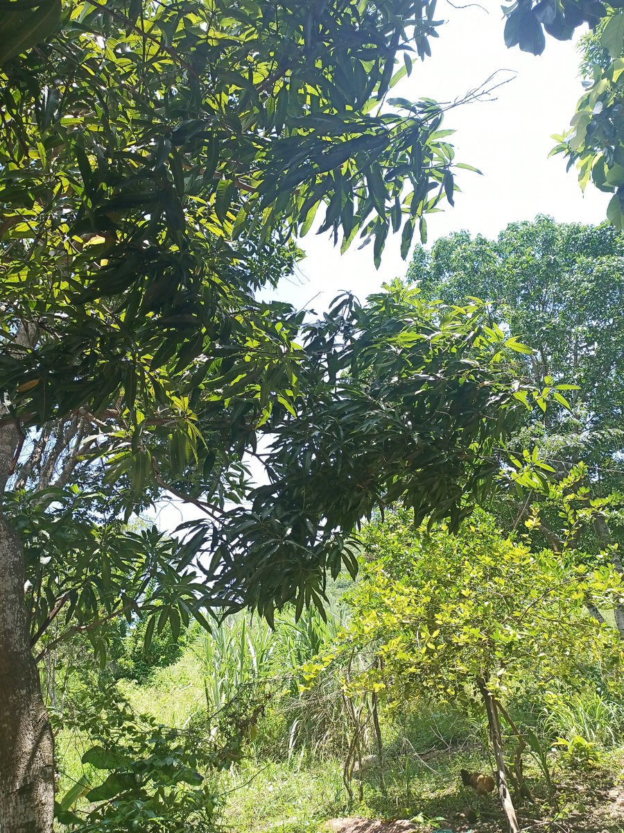 Hay momentos donde sirve desconectarse un poco para volver con más fuerza 🍃