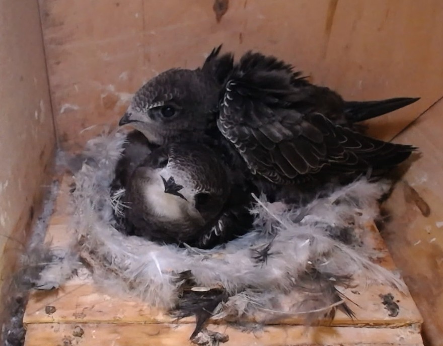 How it started and how it's going...