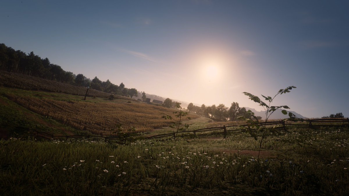 DaniiWasBored's tweet photo. No captions needed.

#rdr2 https://t.co/YknXPcMhxf