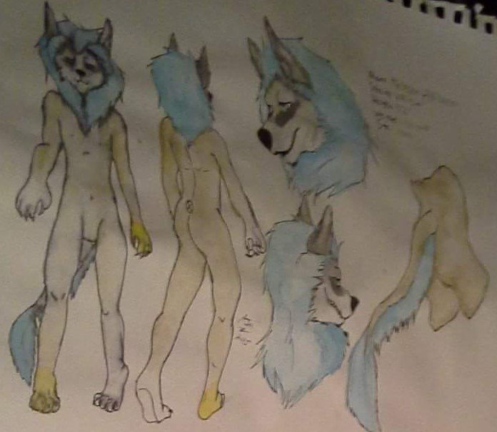 Absalom Liolf tweet media