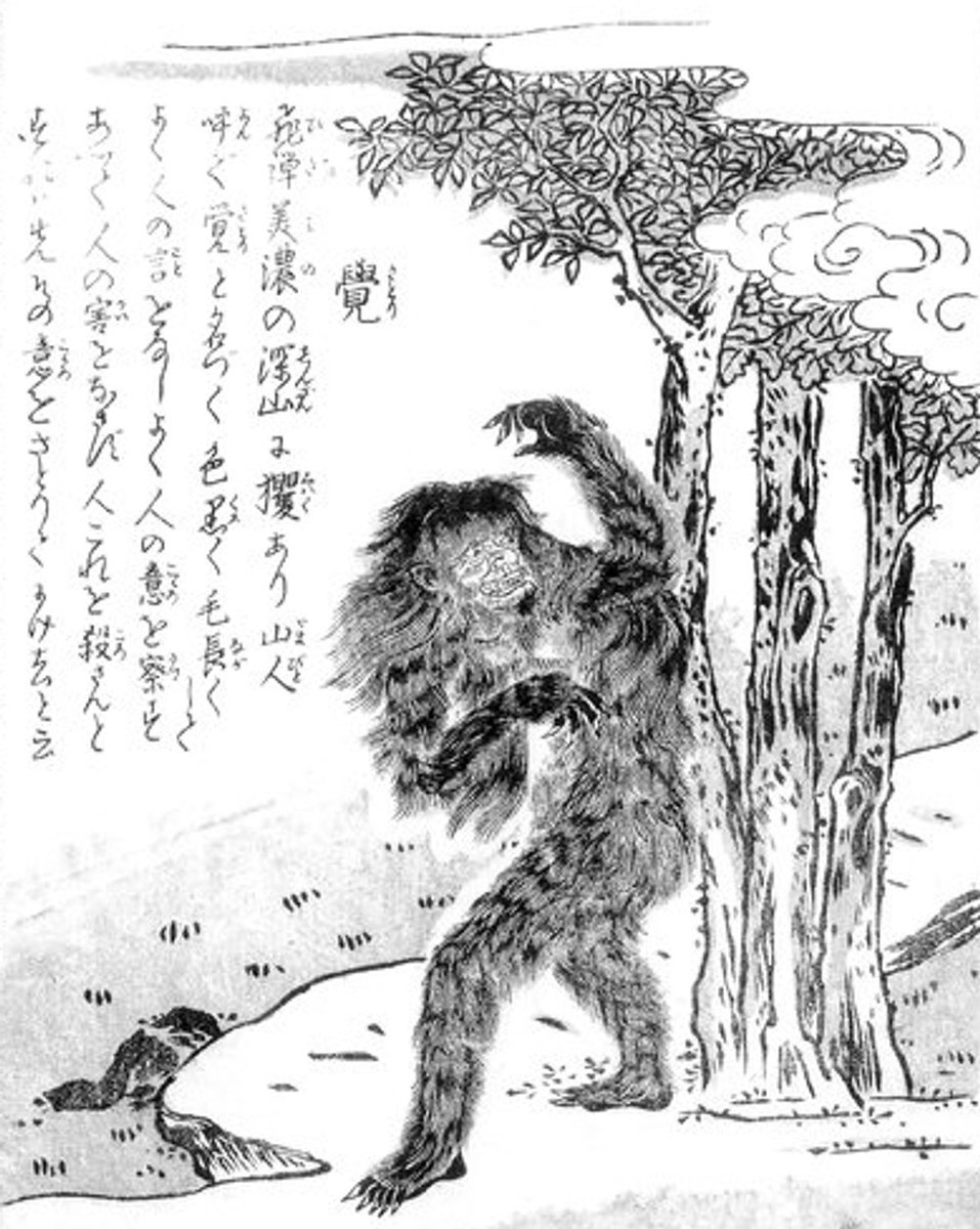#CreatureOfTheDay: Satori (覚) is a mind-reading monkey monster from Japanese folklore. In the forest, it’ll speak your thoughts before you can. Given the chance, it’ll kill and eat you, but if something unexpected happens, it flees. So hope a bird flies into its head