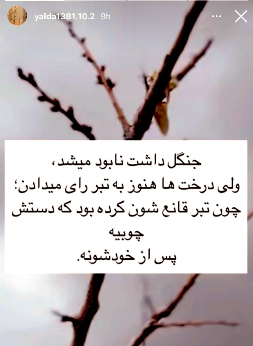 استوری مادر جاویدنام یلدا آقافضلی