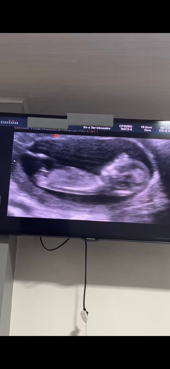 ✨Primba✨ || 😺 tweet media