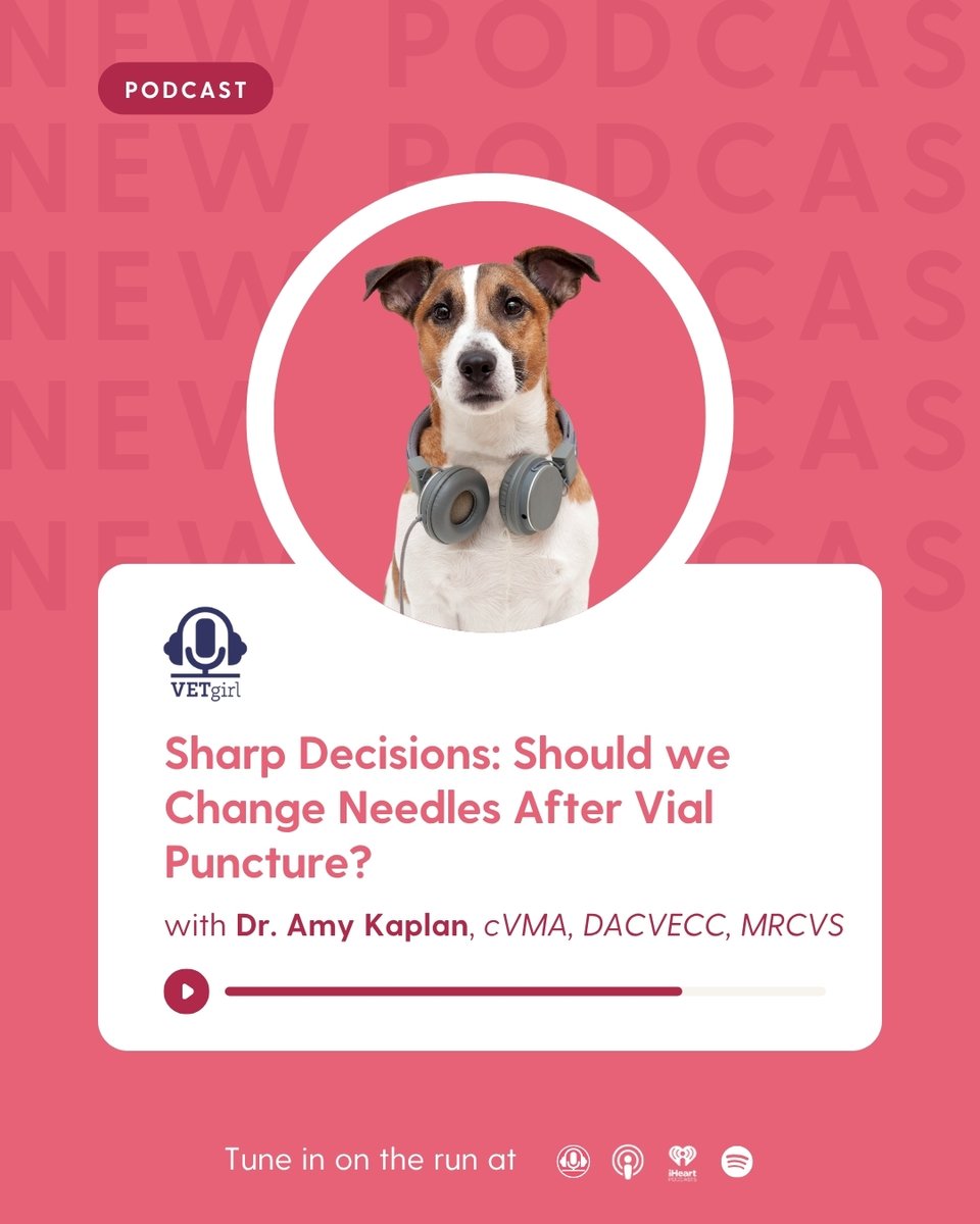 🎙️ Sharp Decisions: Do You Really Need to Change Needles After Vial Puncture? 💉🤔

🔗 vetgirlontherun.com/podcasts/sharp…

#VETgirlPodcast #VeterinaryEducation #VetMed #ClinicalPearls #NeedleChange #VaccineProtocol #VetLife #ContinuingEducation