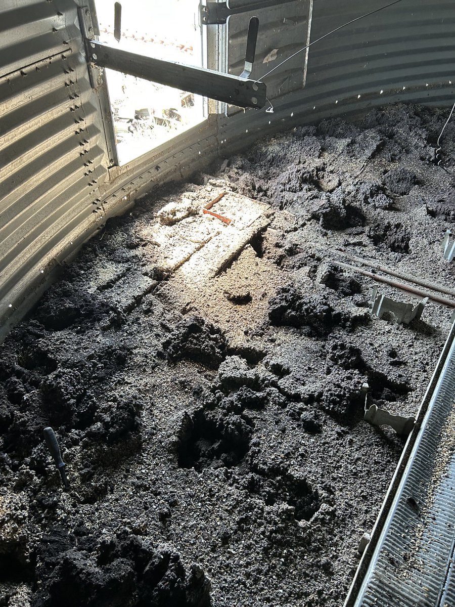 LyleLBrown2's tweet photo. Well there’s what accumulates under an aeration floor after 30 years   Not fun https://t.co/Ml0DeyprHA