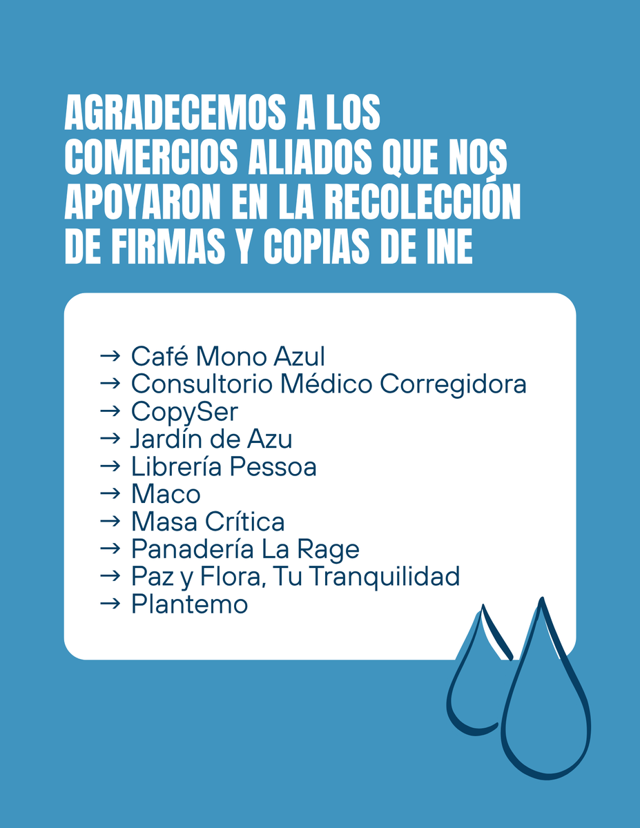Netas Ciudadanas tweet media