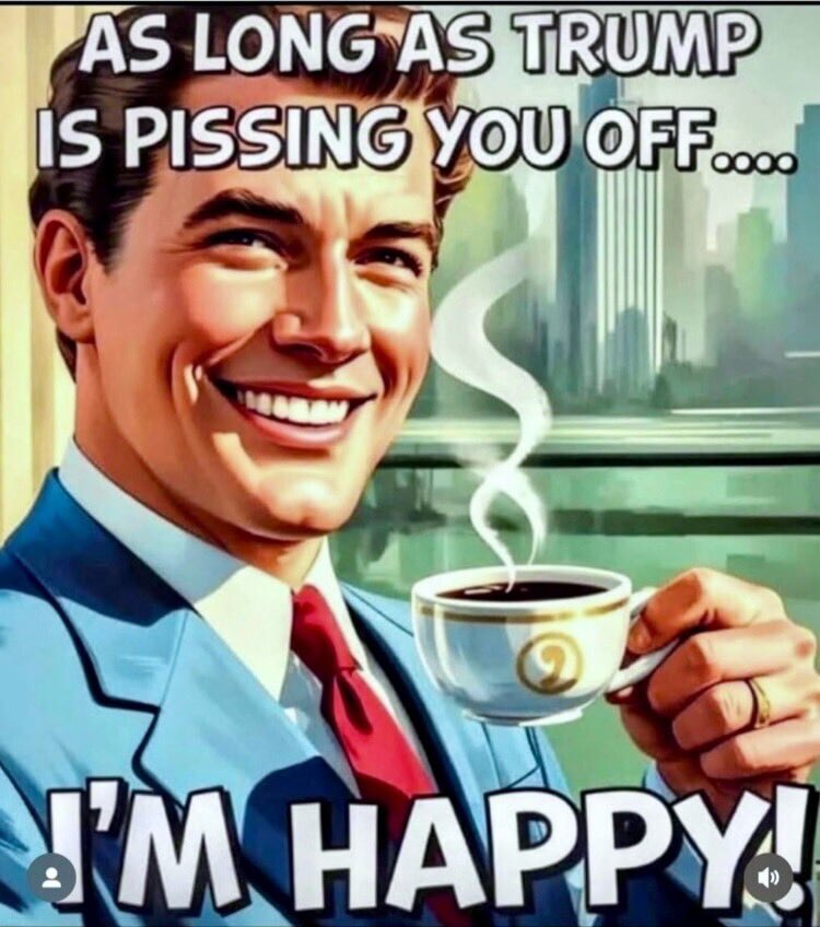 MaggieWise ⭐️⭐️⭐️ tweet media