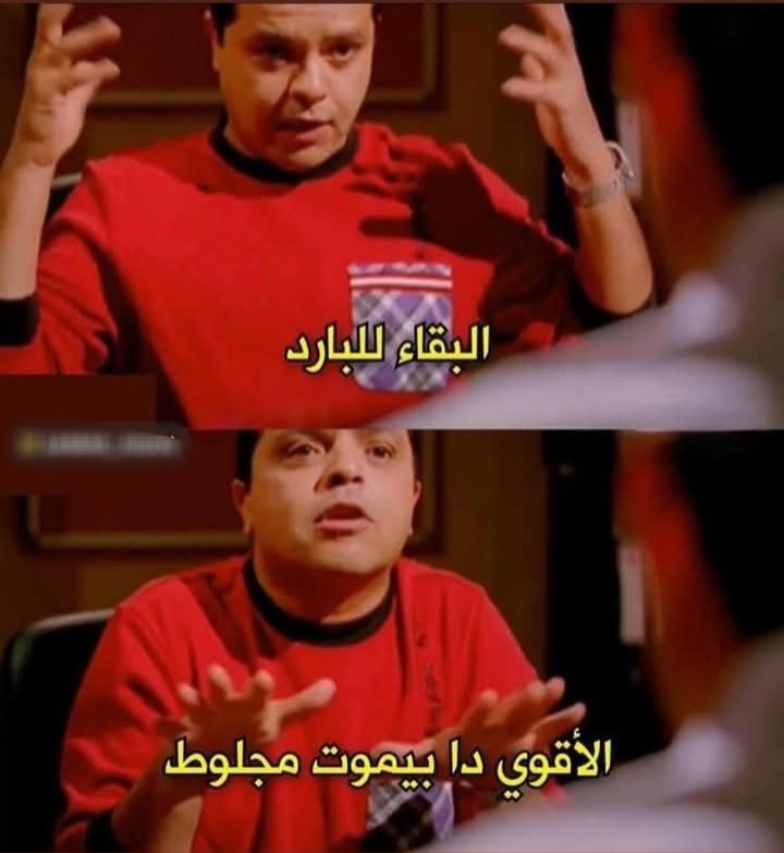 Arab Memes (@arabmemesss) on Twitter photo 