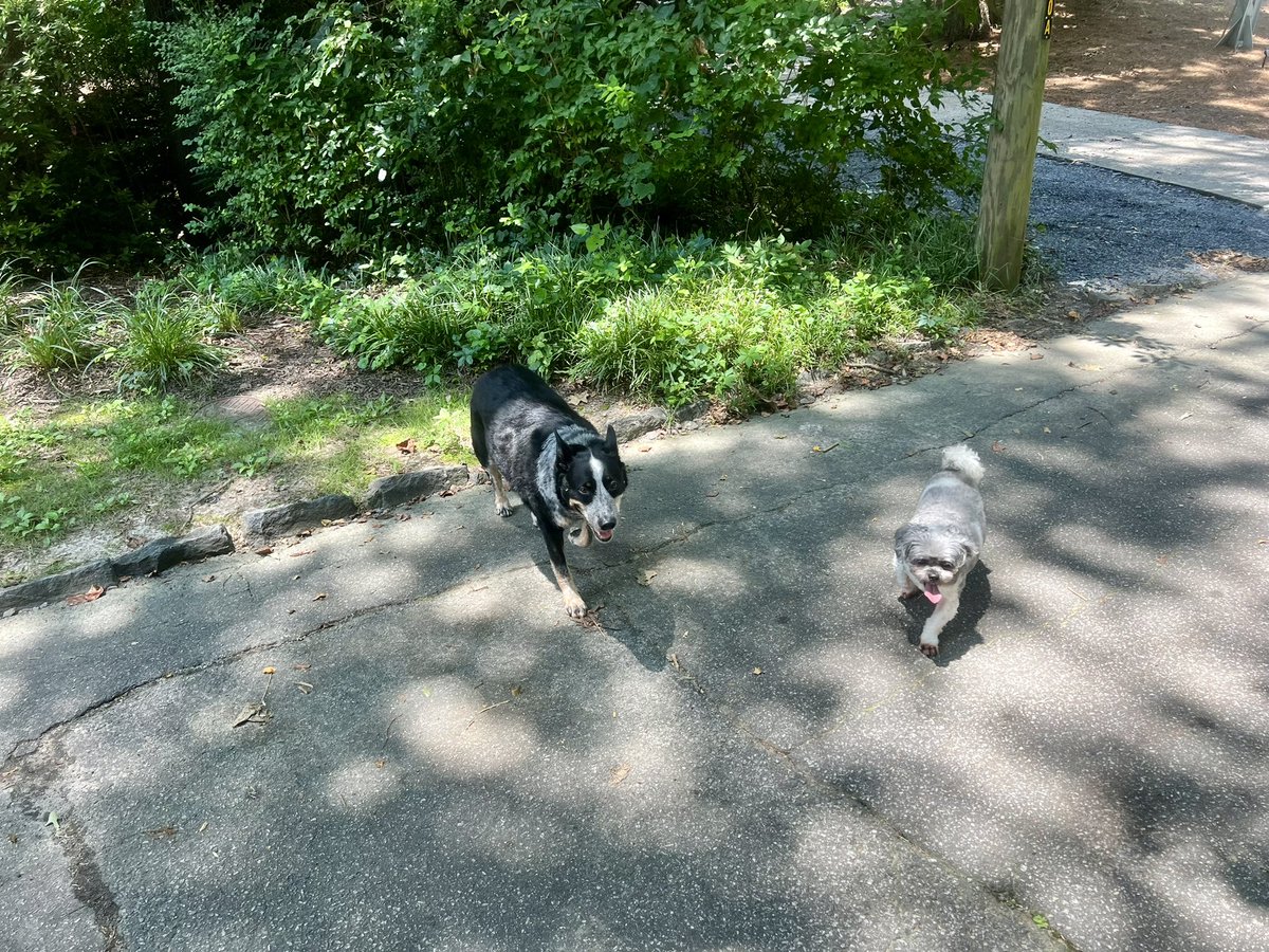 2 HOT FUCKERS IN LOVE tweet media