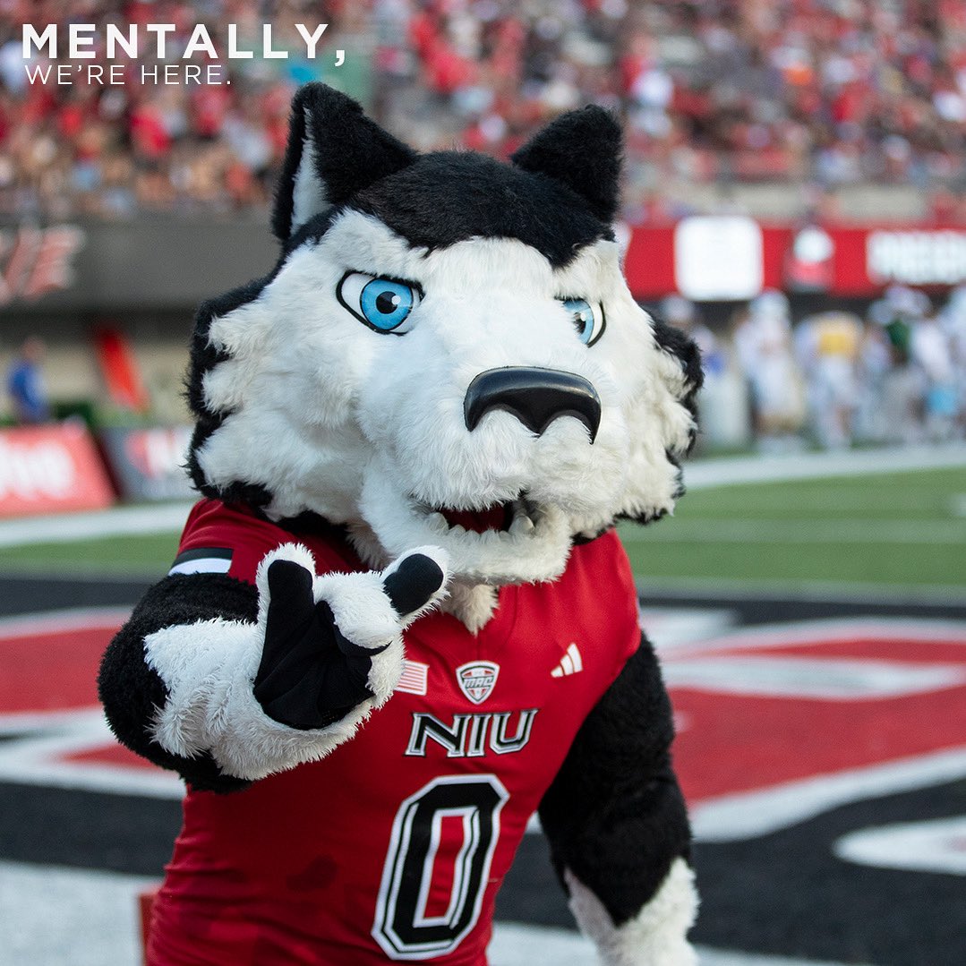 Woof! 

Soon - but is anyone else counting anything other than summer treats? 🦴🐾

#GoHuskies