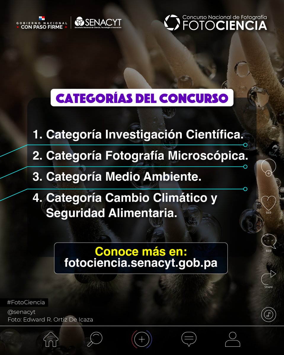 La web de la salud (@lawebdelasalud1) on Twitter photo Senacyt <a href="/senacyt/">Senacyt Panamá</a> lanza el Concurso Nacional de Fotografía Científica FotoCiencia 2025. Los detalles en el enlace a continuación:
<a href="/CienciaPTY/">Ciencia En Panamá #CienciaEnPanamá</a> <a href="/EOrtegaBarria/">Eduardo Ortega-Barria</a> <a href="/indicasat/">INDICASAT-AIP</a> <a href="/InstitutoGorgas/">Instituto Conmemorativo Gorgas</a> <a href="/UNIVERSIDAD_PMA/">Universidad dePanamá</a> <a href="/utppanama/">UTP Panamá</a>
lawebdelasalud.com/senacyt-lanza-… Senacyt <a href="/senacyt/">Senacyt Panamá</a> lanza el Concurso Nacional de Fotografía Científica FotoCiencia 2025. Los detalles en el enlace a continuación:
<a href="/CienciaPTY/">Ciencia En Panamá #CienciaEnPanamá</a> <a href="/EOrtegaBarria/">Eduardo Ortega-Barria</a> <a href="/indicasat/">INDICASAT-AIP</a> <a href="/InstitutoGorgas/">Instituto Conmemorativo Gorgas</a> <a href="/UNIVERSIDAD_PMA/">Universidad dePanamá</a> <a href="/utppanama/">UTP Panamá</a>
lawebdelasalud.com/senacyt-lanza-…
