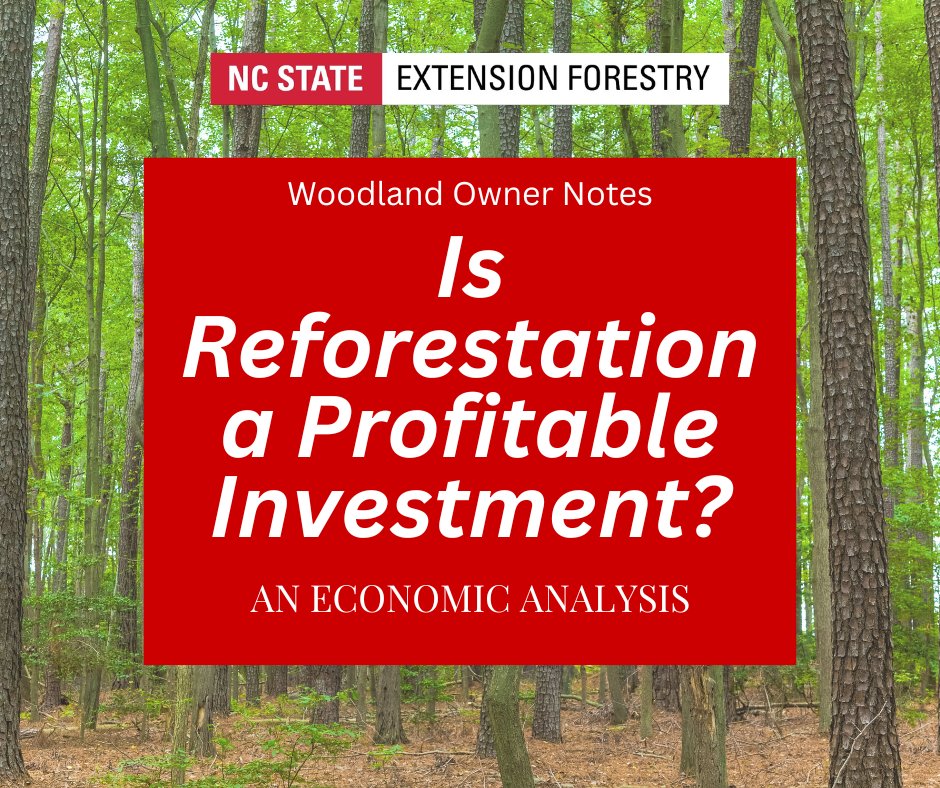 Is Reforestation a Profitable Investment?🌲📈🌳
This publication assesses the pine #reforestation investment based on stumpage prices &amp; associated costs to determine whether it offers attractive returns.
Ensure profitability at any investment level!
content.ces.ncsu.edu/is-reforestati…