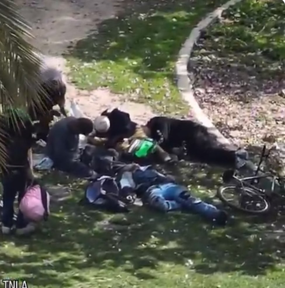 Savannah (@basedsavannah) on Twitter photo <a href="/MayorOfLA/">Mayor Karen Bass</a> Karen Bass attempting to lie and gaslight again. McArthur Park doesn’t have kids playing in it. It’s a hell hole for MS-13 gang members, drug addicts and illegal encampments destroying this country. <a href="/MayorOfLA/">Mayor Karen Bass</a> Karen Bass attempting to lie and gaslight again. McArthur Park doesn’t have kids playing in it. It’s a hell hole for MS-13 gang members, drug addicts and illegal encampments destroying this country.