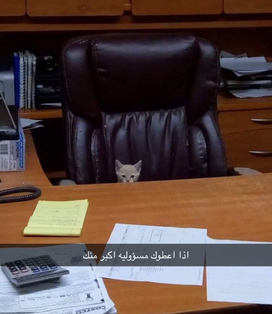ShomokhA7's tweet photo. النيرس وهيا تقولي اعطي المريض مورفين IV https://t.co/INSzN4Bn2c
