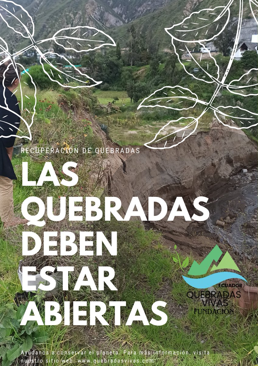 Las #quebradas proporcionan un hábitat natural para muchas especies de plantas y animales, y su contaminación puede llevar a la extinción de estas especies. POR ESO Y MAS DEBEN ESTAR ABIERTAS.