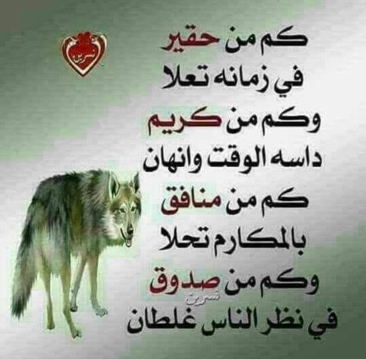 mhmdhamzy22's tweet photo. https://t.co/fgRalexIWd