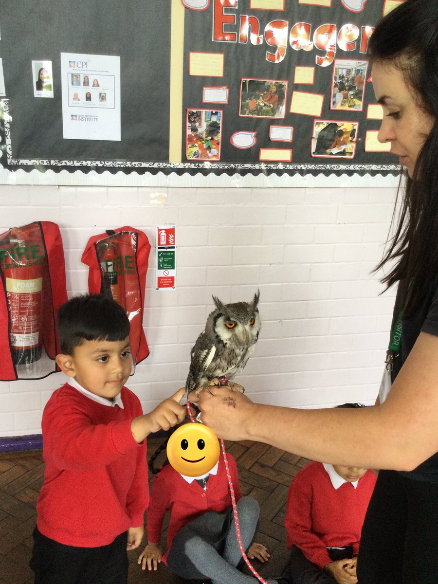 LeighPrimary's tweet photo. What an incredible and amazing experience Nursery children were lucky to have. This was definitely a very special treat and all the children were fantastic. Thank you 🙂 Miss Sturridge-Packer for booking and organising this special event. #amazingexperiences #makingmemories https://t.co/olA24AG76p