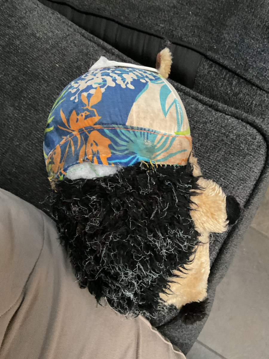 PhiladelphiAnne's tweet image. There’s been a terrible accident in the washing machine! I think something attacked Hamish the hedgehog. Ellie is upset, I am waiting for his “brother” to come visit while Hamish goes to the hospital for stitches, his pants are falling off! Ellie knows something is wrong
