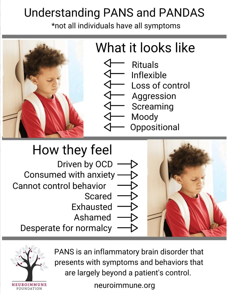 NeuroimmuneFDN's tweet image. 