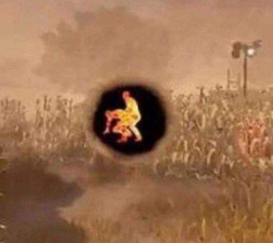 we on mission to meet as many oomfs as possible this summer