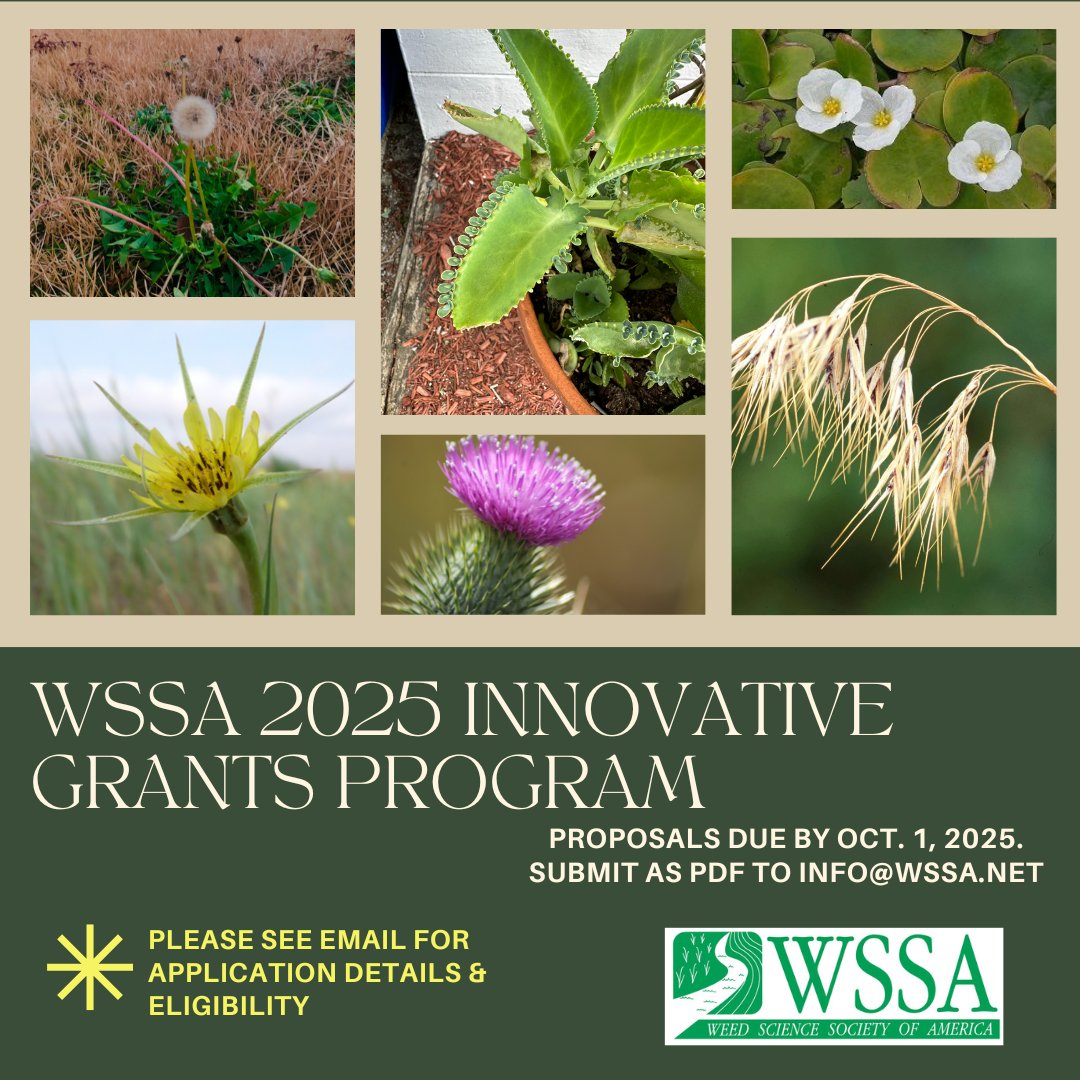 WSSA (@worldofweeds) on Twitter photo 🚨 Got a bold, unfunded idea in #weedscience? The #WSSA Innovative Grants Program offers up to $100K for fresh, forward-thinking projects! 🌱💡
✅ WSSA members only
📅 Due: Oct 1, 2025
📧 Submit PDF: info@wssa.net
Let your innovation take root!
#research #invasiveplants #weeds 🚨 Got a bold, unfunded idea in #weedscience? The #WSSA Innovative Grants Program offers up to $100K for fresh, forward-thinking projects! 🌱💡
✅ WSSA members only
📅 Due: Oct 1, 2025
📧 Submit PDF: info@wssa.net
Let your innovation take root!
#research #invasiveplants #weeds