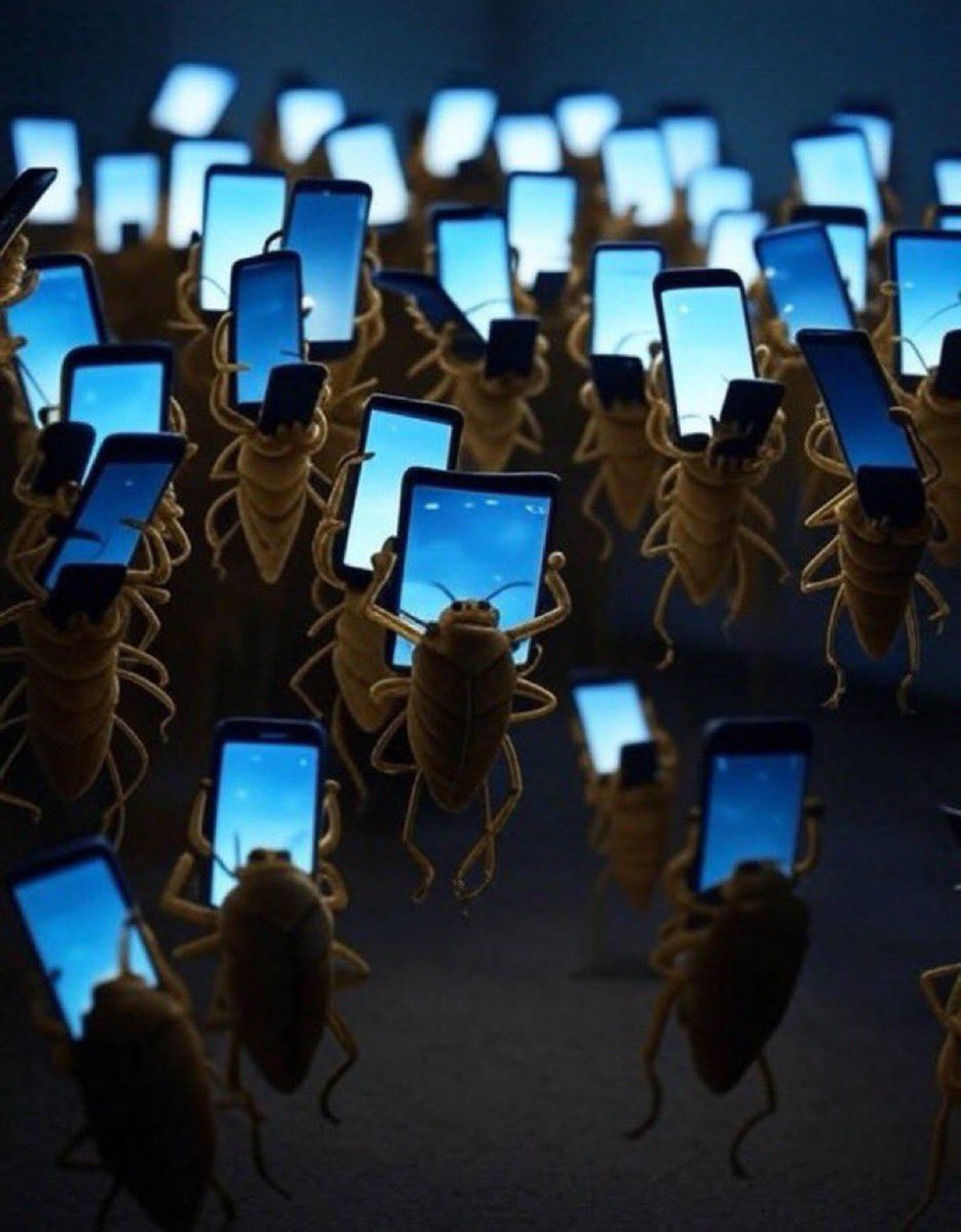 gecenin bi yarısı iki dangalağın kavgasını takip edenler