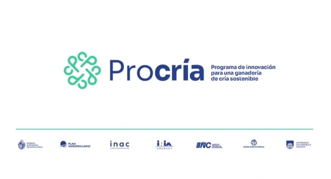 GraceQuintans tweet media