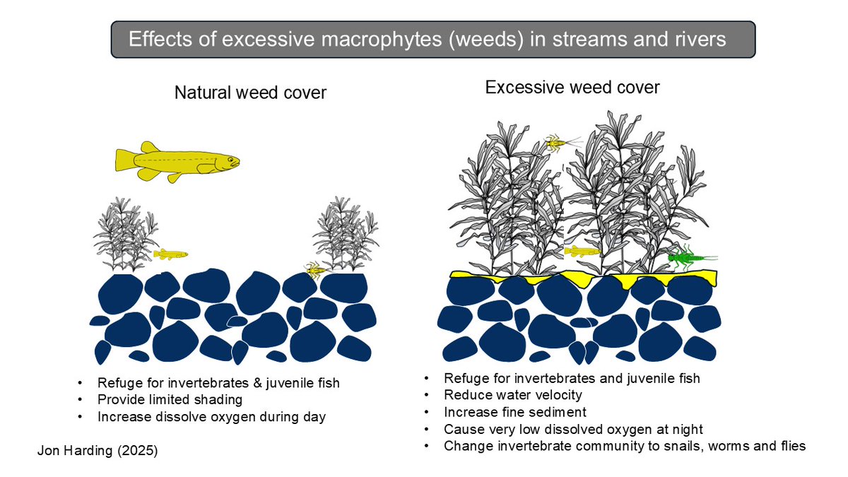 Jon S. Harding tweet media