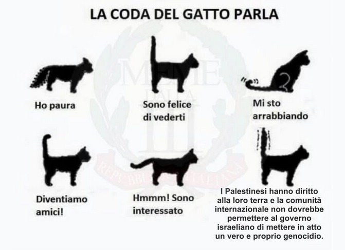 Nonnachicca 🇵🇸nowar  (@nonnachicca58) on Twitter photo 